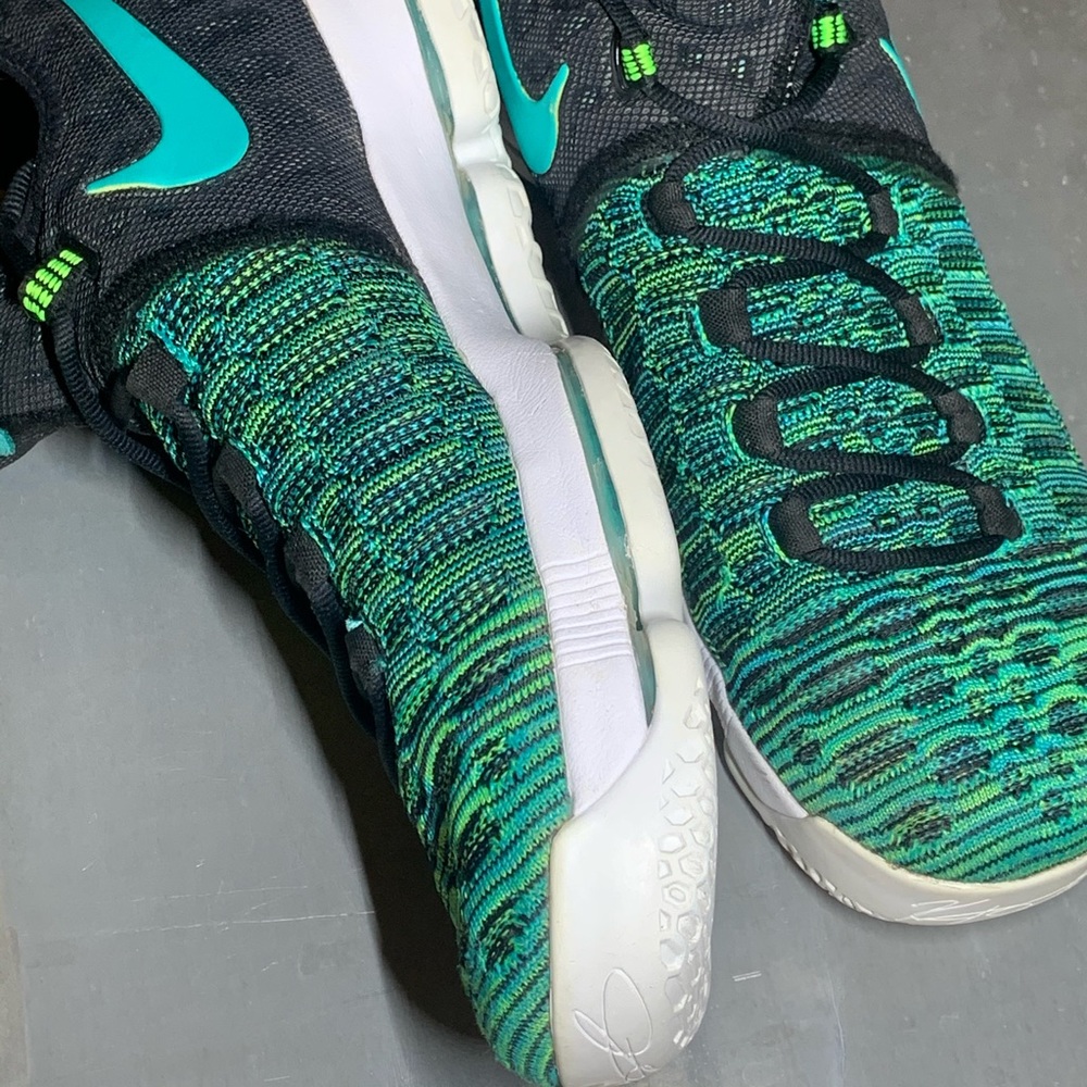 KD 9 “Birds of Paradise”